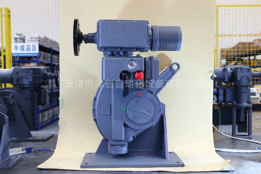 A+RS電動執行器定位器